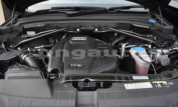 Buy Used Audi Q5 Black Car in Port Moresby in National Capital District Buy Used Audi Q5 Black Car in Port Moresby in National Capital District