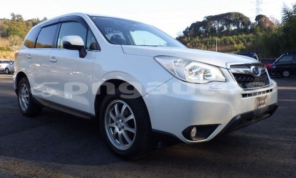 Buy Used Subaru Forester White Car in Port Moresby in National Capital District Buy Used Subaru Forester White Car in Port Moresby in National Capital District