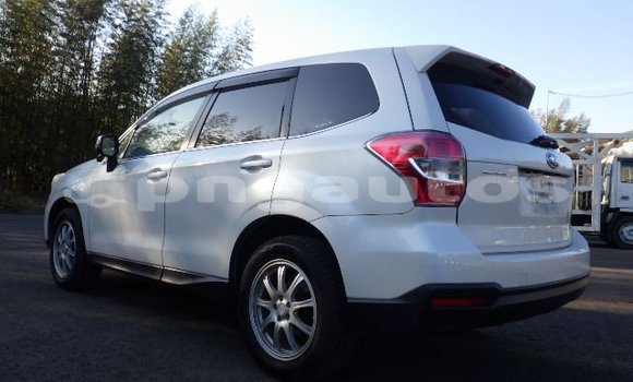 Buy Used Subaru Forester White Car in Port Moresby in National Capital District Buy Used Subaru Forester White Car in Port Moresby in National Capital District