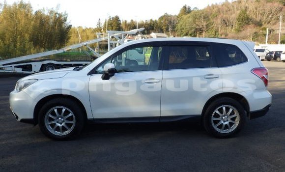 Buy Used Subaru Forester White Car in Port Moresby in National Capital District Buy Used Subaru Forester White Car in Port Moresby in National Capital District