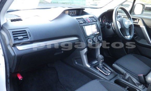 Buy Used Subaru Forester White Car in Port Moresby in National Capital District Buy Used Subaru Forester White Car in Port Moresby in National Capital District