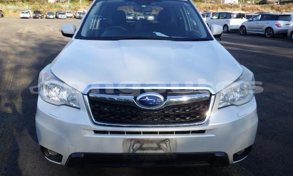 Buy Used Subaru Forester White Car in Port Moresby in National Capital District Buy Used Subaru Forester White Car in Port Moresby in National Capital District