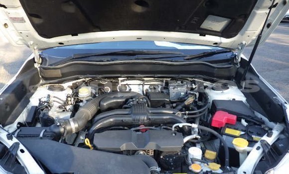 Buy Used Subaru Forester White Car in Port Moresby in National Capital District Buy Used Subaru Forester White Car in Port Moresby in National Capital District