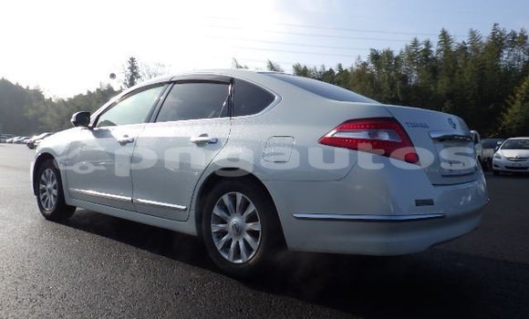 Buy Used Nissan Teana White Car in Port Moresby in National Capital District Buy Used Nissan Teana White Car in Port Moresby in National Capital District