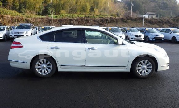 Buy Used Nissan Teana White Car in Port Moresby in National Capital District Buy Used Nissan Teana White Car in Port Moresby in National Capital District