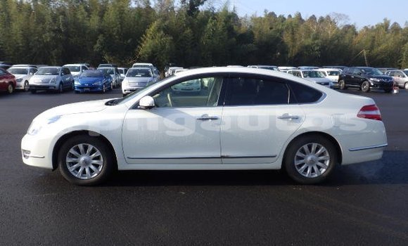 Buy Used Nissan Teana White Car in Port Moresby in National Capital District Buy Used Nissan Teana White Car in Port Moresby in National Capital District