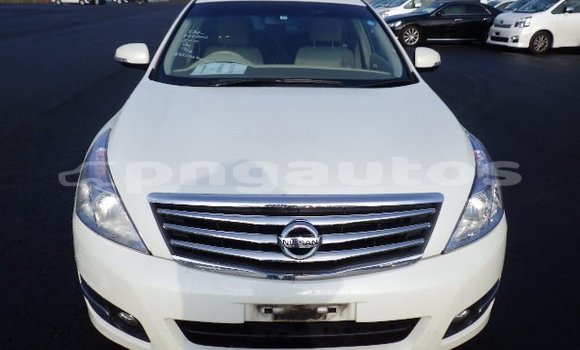 Buy Used Nissan Teana White Car in Port Moresby in National Capital District Buy Used Nissan Teana White Car in Port Moresby in National Capital District