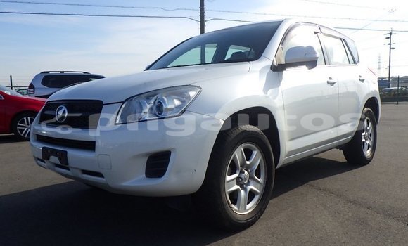 Buy Used Toyota RAV4 White Car in Port Moresby in National Capital District Buy Used Toyota RAV4 White Car in Port Moresby in National Capital District