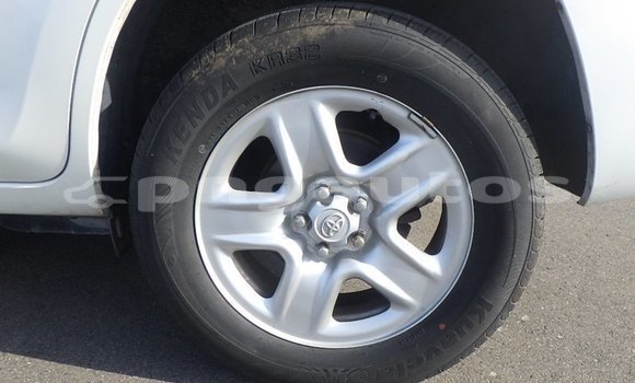 Buy Used Toyota RAV4 White Car in Port Moresby in National Capital District Buy Used Toyota RAV4 White Car in Port Moresby in National Capital District
