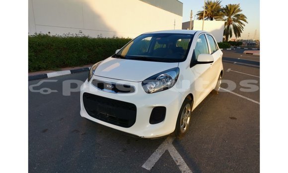 Buy Import Kia Picanto White Car in Import - Dubai in Enga Buy Import Kia Picanto White Car in Import - Dubai in Enga