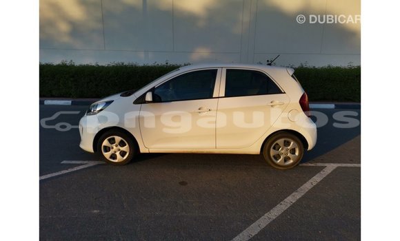 Buy Import Kia Picanto White Car in Import - Dubai in Enga Buy Import Kia Picanto White Car in Import - Dubai in Enga