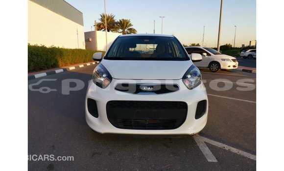 Buy Import Kia Picanto White Car in Import - Dubai in Enga Buy Import Kia Picanto White Car in Import - Dubai in Enga