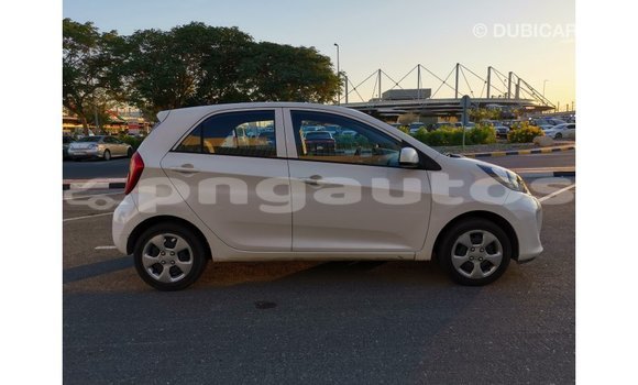 Buy Import Kia Picanto White Car in Import - Dubai in Enga Buy Import Kia Picanto White Car in Import - Dubai in Enga