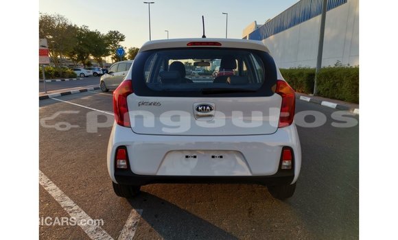 Buy Import Kia Picanto White Car in Import - Dubai in Enga Buy Import Kia Picanto White Car in Import - Dubai in Enga