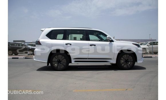 Buy Import Lexus LX White Car in Import - Dubai in Enga Buy Import Lexus LX White Car in Import - Dubai in Enga