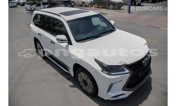 Buy Import Lexus LX White Car in Import - Dubai in Enga Buy Import Lexus LX White Car in Import - Dubai in Enga