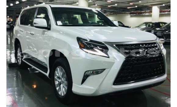 Buy Import Lexus GX White Car in Import - Dubai in Enga Buy Import Lexus GX White Car in Import - Dubai in Enga