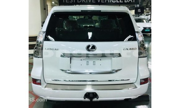 Buy Import Lexus GX White Car in Import - Dubai in Enga Buy Import Lexus GX White Car in Import - Dubai in Enga