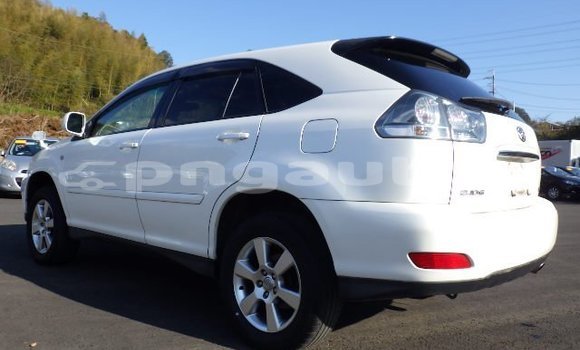 Buy Used Toyota Harrier White Car in Port Moresby in National Capital District Buy Used Toyota Harrier White Car in Port Moresby in National Capital District
