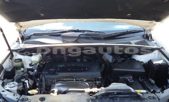 Buy Used Toyota Harrier White Car in Port Moresby in National Capital District Buy Used Toyota Harrier White Car in Port Moresby in National Capital District