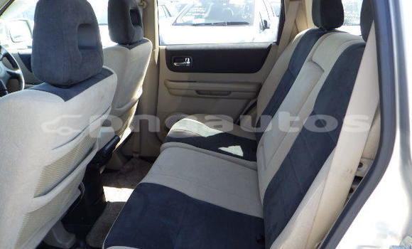 Buy Used Nissan X–Trail Silver Car in Port Moresby in National Capital District Buy Used Nissan X–Trail Silver Car in Port Moresby in National Capital District