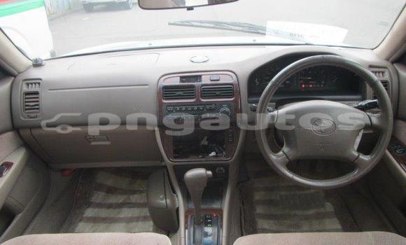 Buy Used Toyota Vista White Car in Port Moresby in National Capital District Buy Used Toyota Vista White Car in Port Moresby in National Capital District