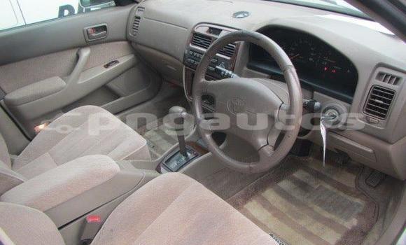 Buy Used Toyota Vista White Car in Port Moresby in National Capital District Buy Used Toyota Vista White Car in Port Moresby in National Capital District