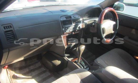 Buy Used Toyota Vista White Car in Port Moresby in National Capital District Buy Used Toyota Vista White Car in Port Moresby in National Capital District