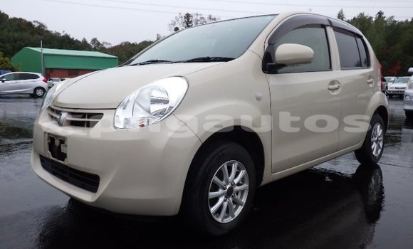 Buy Used Toyota Passo Other Car in Port Moresby in National Capital District Buy Used Toyota Passo Other Car in Port Moresby in National Capital District