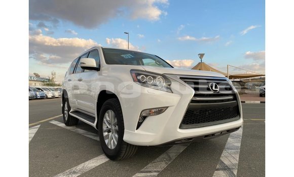 Buy Import Lexus GX White Car in Import - Dubai in Enga Buy Import Lexus GX White Car in Import - Dubai in Enga