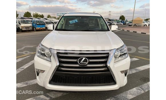 Buy Import Lexus GX White Car in Import - Dubai in Enga Buy Import Lexus GX White Car in Import - Dubai in Enga