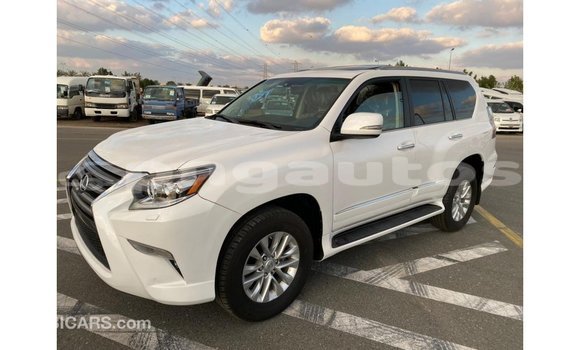 Buy Import Lexus GX White Car in Import - Dubai in Enga Buy Import Lexus GX White Car in Import - Dubai in Enga