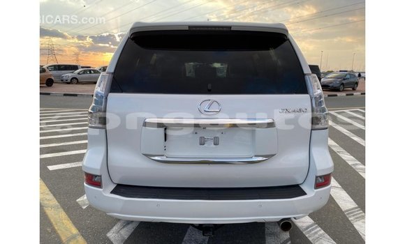 Buy Import Lexus GX White Car in Import - Dubai in Enga Buy Import Lexus GX White Car in Import - Dubai in Enga