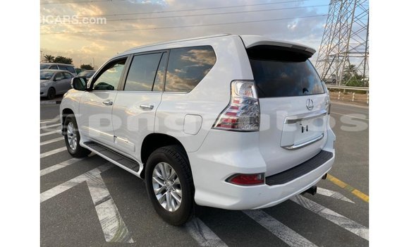 Buy Import Lexus GX White Car in Import - Dubai in Enga Buy Import Lexus GX White Car in Import - Dubai in Enga