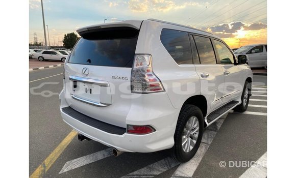 Buy Import Lexus GX White Car in Import - Dubai in Enga Buy Import Lexus GX White Car in Import - Dubai in Enga