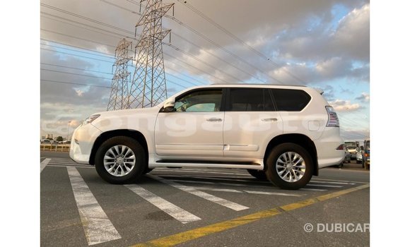 Buy Import Lexus GX White Car in Import - Dubai in Enga Buy Import Lexus GX White Car in Import - Dubai in Enga