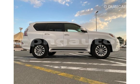 Buy Import Lexus GX White Car in Import - Dubai in Enga Buy Import Lexus GX White Car in Import - Dubai in Enga