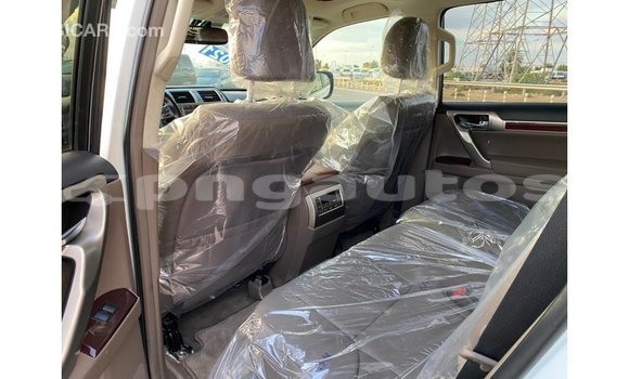 Buy Import Lexus GX White Car in Import - Dubai in Enga Buy Import Lexus GX White Car in Import - Dubai in Enga