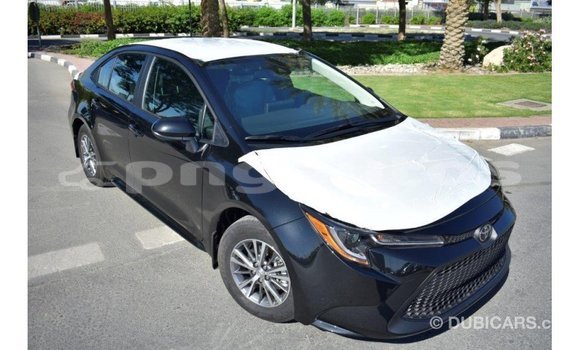 Buy Import Toyota Corolla Black Car in Import - Dubai in Enga Buy Import Toyota Corolla Black Car in Import - Dubai in Enga
