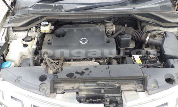 Buy Used Nissan Murano White Car in Port Moresby in National Capital District Buy Used Nissan Murano White Car in Port Moresby in National Capital District