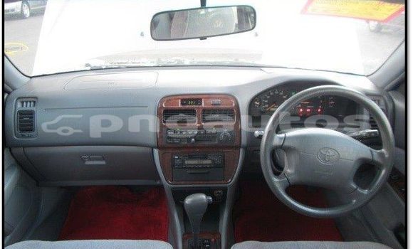 Buy Used Toyota Vista Other Car in Wabag in Enga Buy Used Toyota Vista Other Car in Wabag in Enga