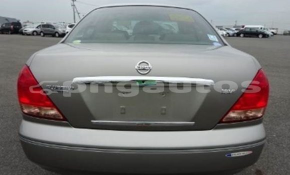 Buy Used Nissan Bluebird Other Car in Kundiawa in Simbu Buy Used Nissan Bluebird Other Car in Kundiawa in Simbu