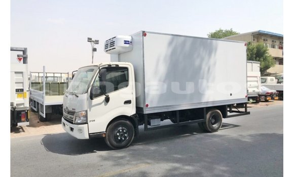 Buy Import Hino 300 Series White Truck in Import - Dubai in Enga