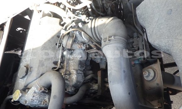 Buy Used Nissan UD White Truck in Port Moresby in National Capital District Buy Used Nissan UD White Truck in Port Moresby in National Capital District