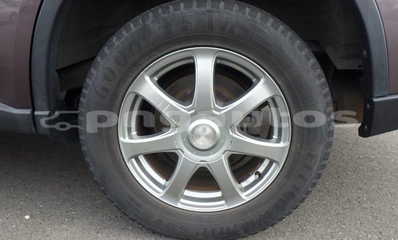 Buy Used Nissan X–Trail Brown Car in Port Moresby in National Capital District Buy Used Nissan X–Trail Brown Car in Port Moresby in National Capital District