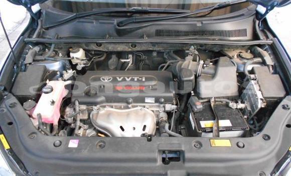 Buy Used Toyota RAV4 Blue Car in Port Moresby in National Capital District Buy Used Toyota RAV4 Blue Car in Port Moresby in National Capital District