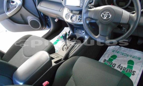 Buy Used Toyota RAV4 Blue Car in Port Moresby in National Capital District Buy Used Toyota RAV4 Blue Car in Port Moresby in National Capital District