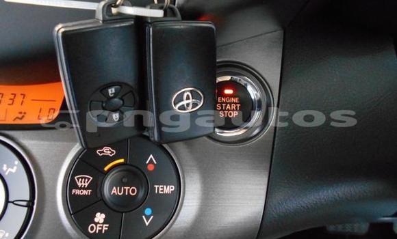 Buy Used Toyota RAV4 Blue Car in Port Moresby in National Capital District Buy Used Toyota RAV4 Blue Car in Port Moresby in National Capital District