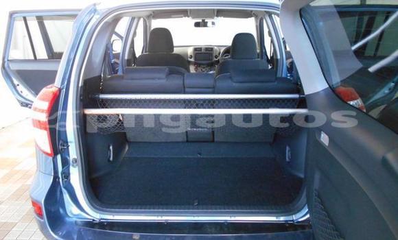 Buy Used Toyota RAV4 Blue Car in Port Moresby in National Capital District Buy Used Toyota RAV4 Blue Car in Port Moresby in National Capital District