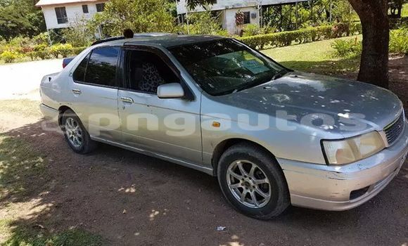 Buy Used Nissan Bluebird Other Car in Porgera in Enga